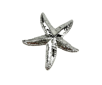 BROCHE ACERO ESTRELLA